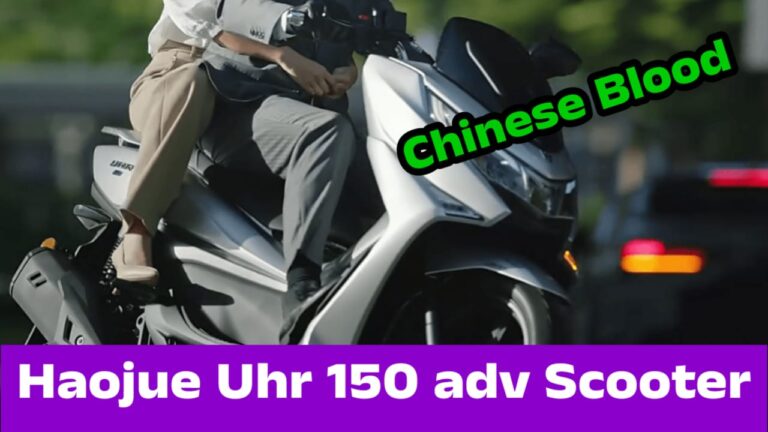 WhatsApp Image 2025-08-31 at 17.33.30_de2d0c0d